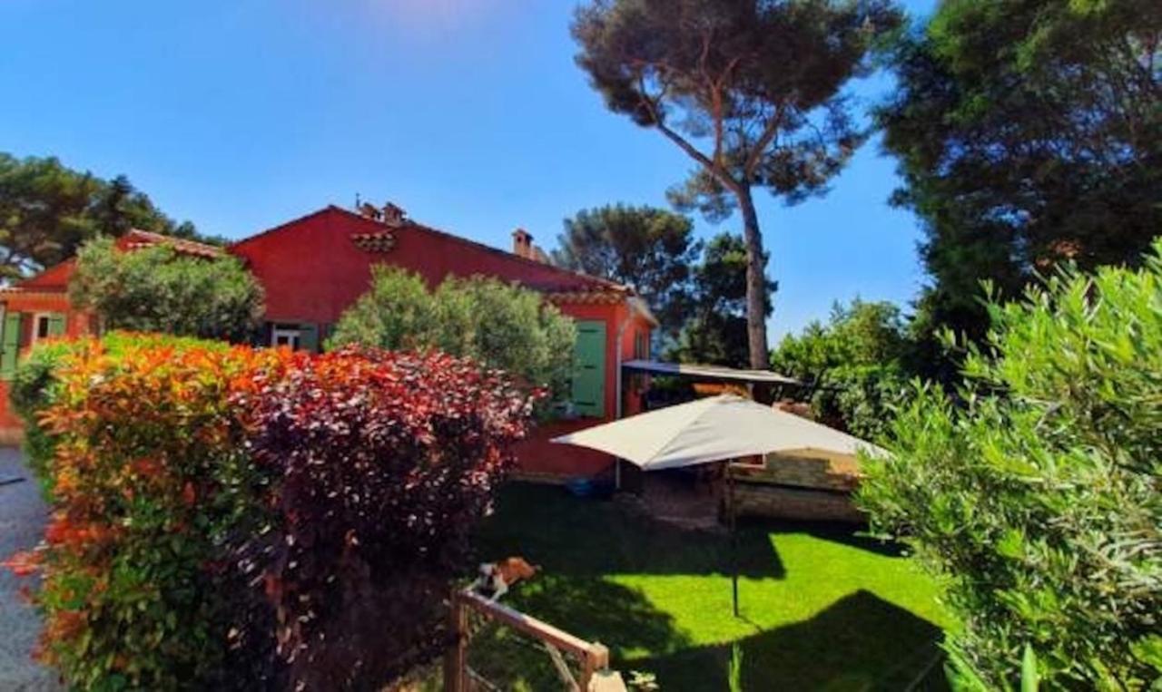 Appartements Avec Jardin Dans Villa Rocaille 卡西斯 外观 照片