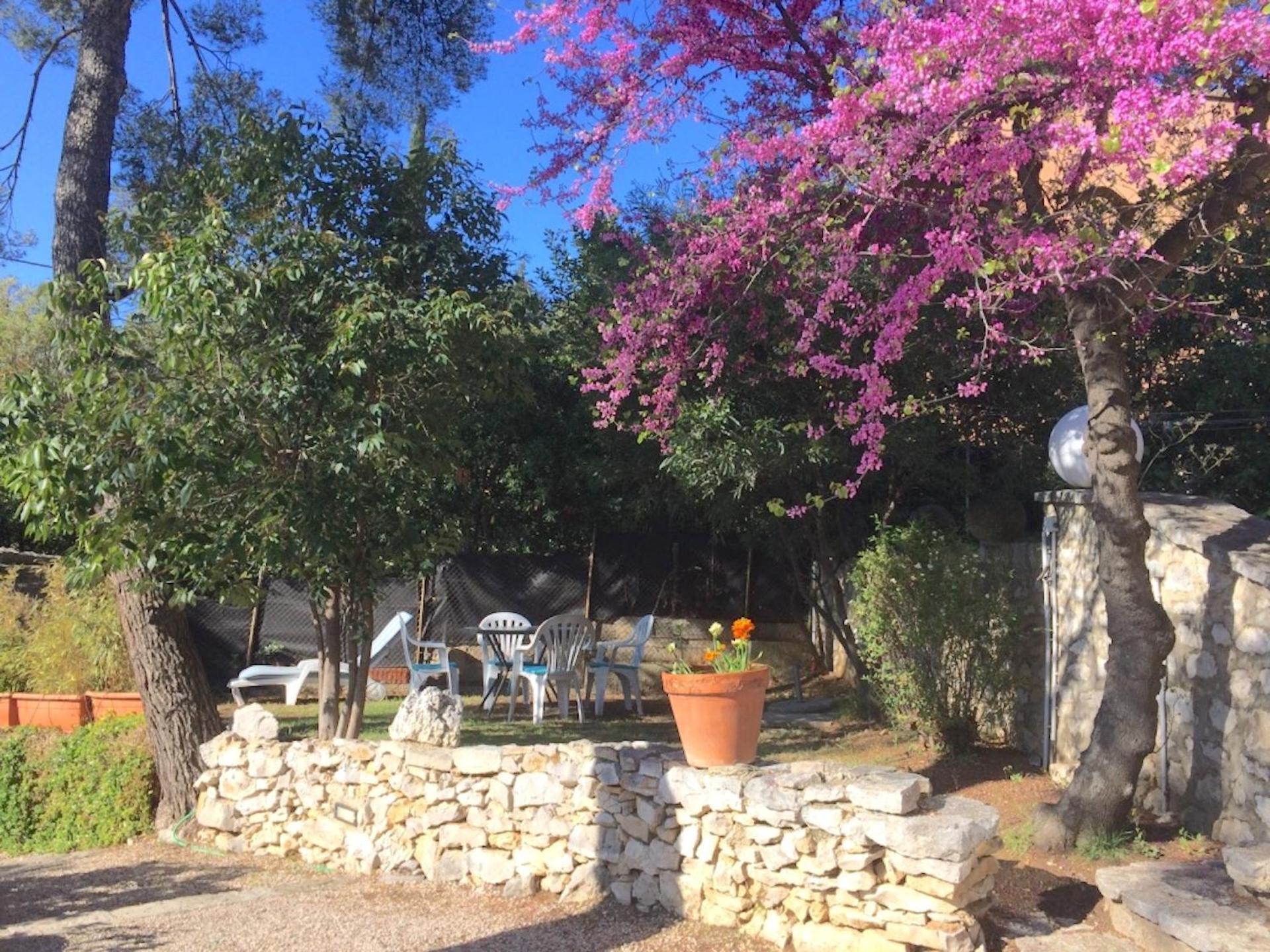 Appartements Avec Jardin Dans Villa Rocaille 卡西斯 外观 照片