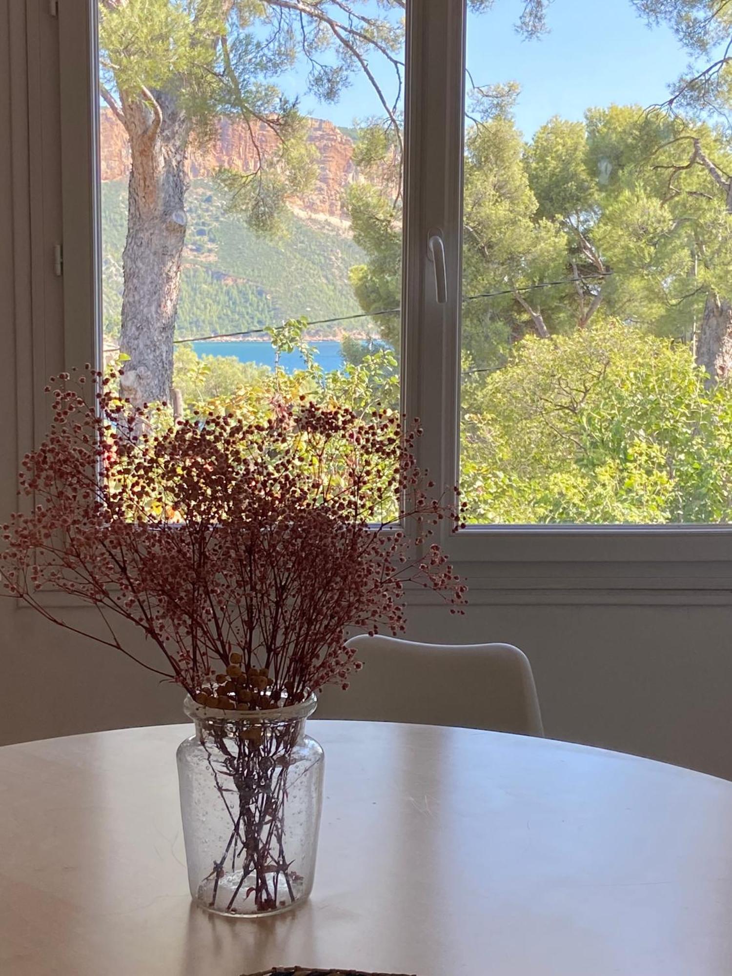 Appartements Avec Jardin Dans Villa Rocaille 卡西斯 外观 照片