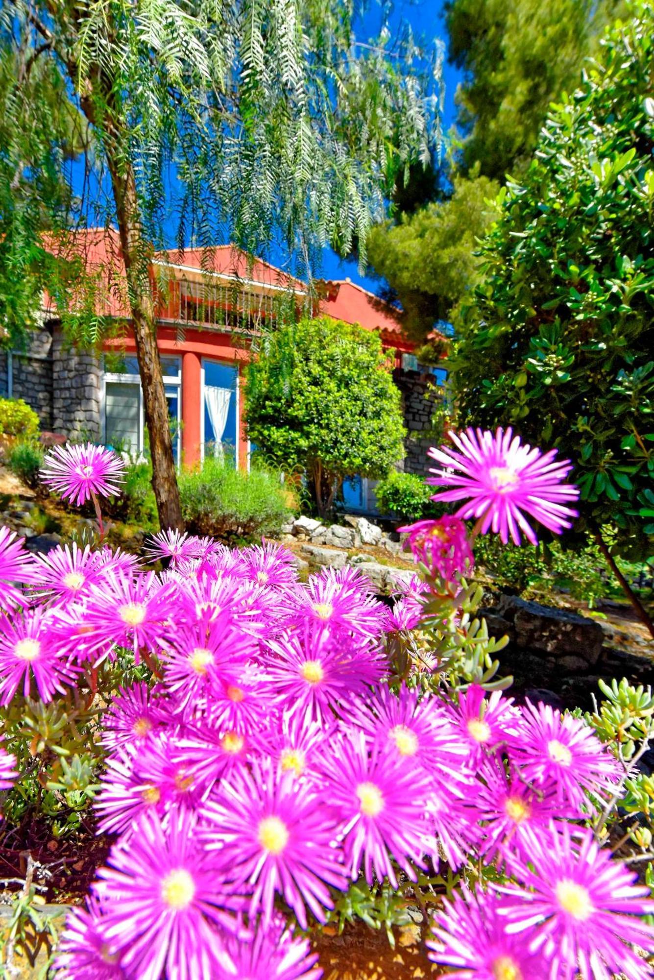 Appartements Avec Jardin Dans Villa Rocaille 卡西斯 外观 照片